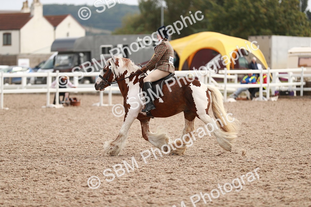 SBM_16793 - Class 214 Ridden Cob