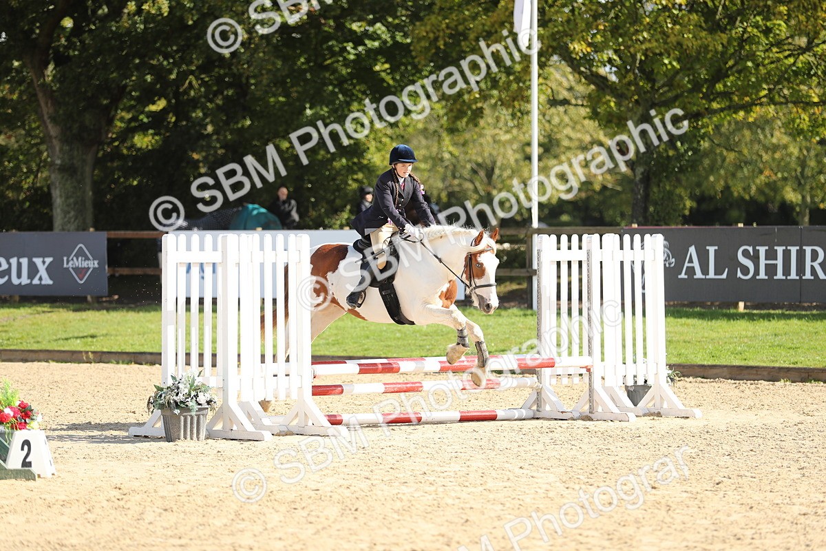 SBM_40184 - J21 - Junior Horse 60cm Championship