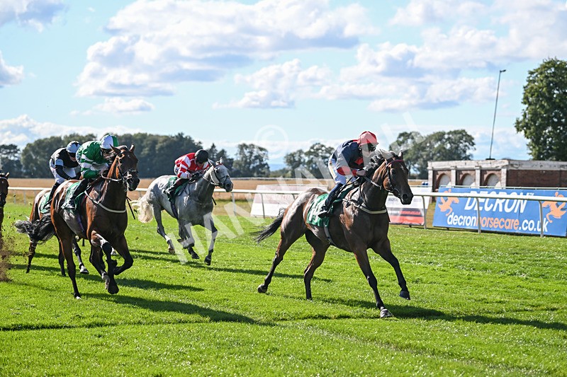 290825-Race 4-Eternal Sunshine-9028 - Race 4