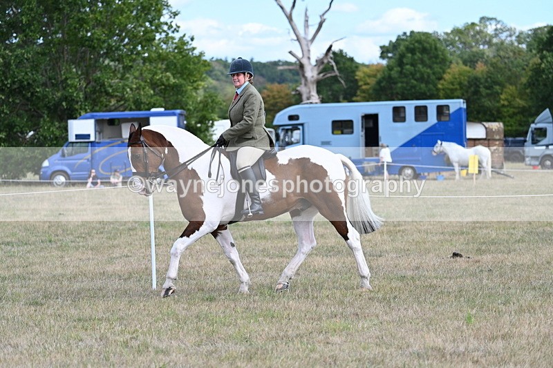 WJ7_6946 - Class 14 Ridden Coloured