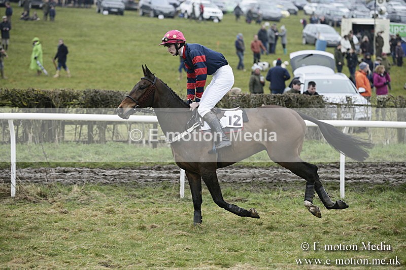 PtP 020418 -91 - Old Berks Point-to-Point Races Easter Monday 02/04/18