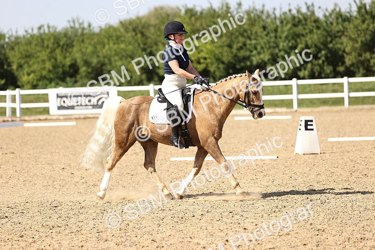 SBM_010289 - Class 9-10 - E1-E2
