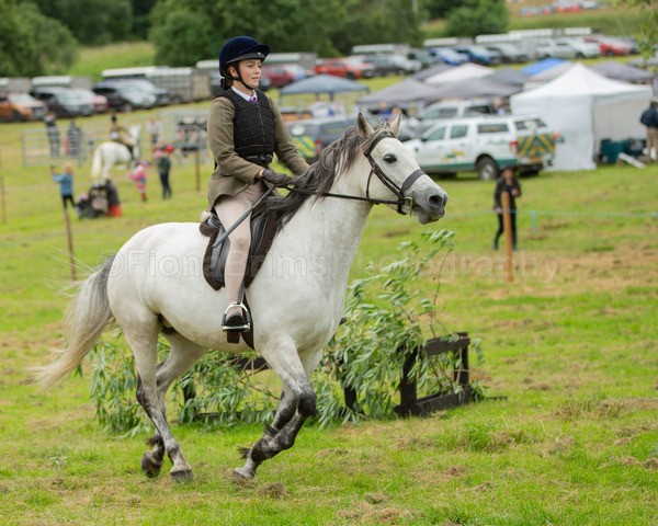 Dunblane show-441 - Dunblane and Doune Show Ring 1