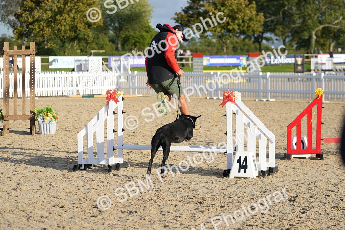 SBM_29375 - J44 - Horse & Hound Open 70cm