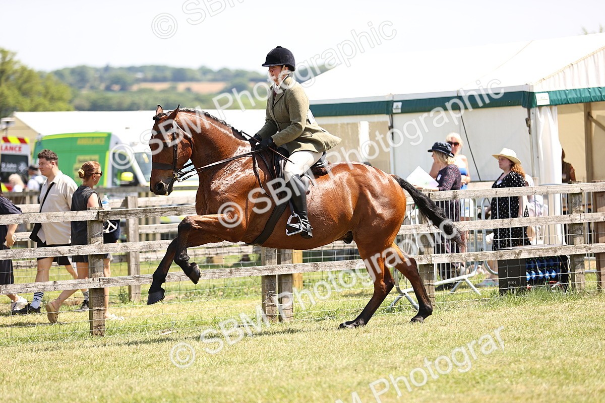 SBM_15111 - Class 79-80 - LIHS BSHA Rising Star Ridden Hunter