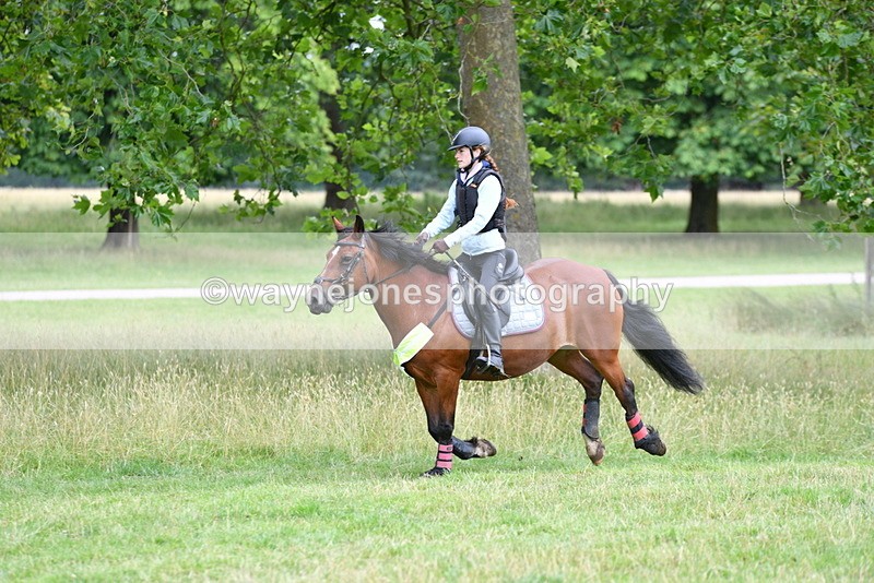 WJ5_0953 - Time at Jump 11:31 to 12:19