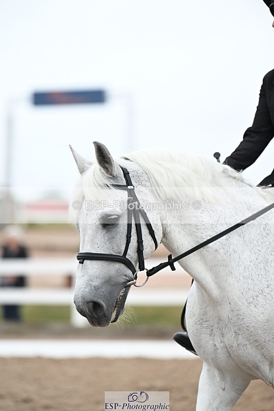 250705-110518-01588 - P2 Sections BDP2SNR, BDP2JNR 11.02 to 12.12