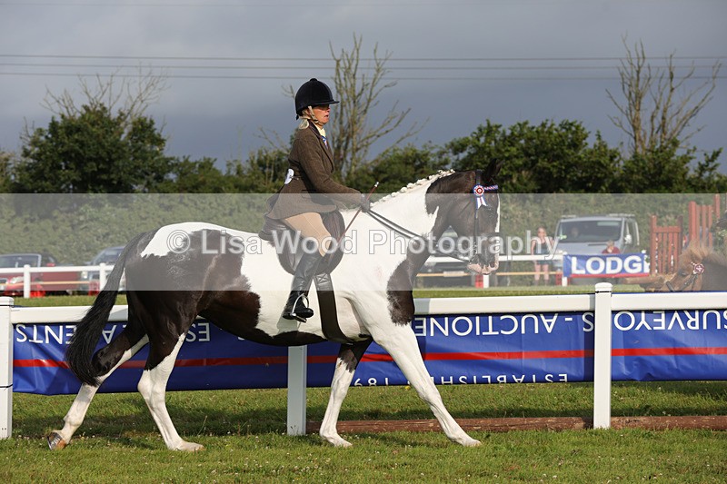 1X9A2867 - Class 25: Ridden Plaited Coloured Horse