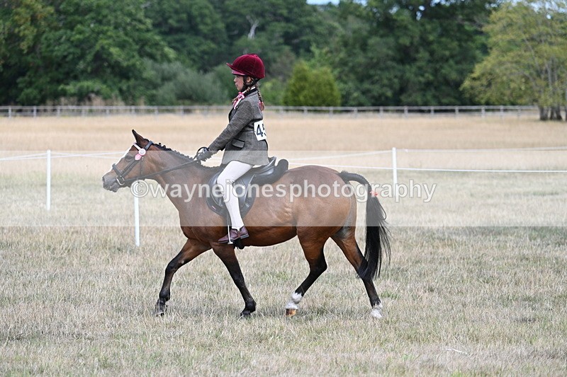 WJ7_5816 - Class 13 Ridden Veterans