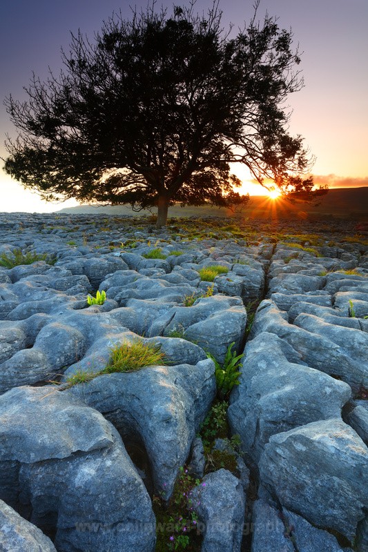 Sun setting directly in line with Grike at Souterscales.     ref 5198 - The Pennines and Cumbria
