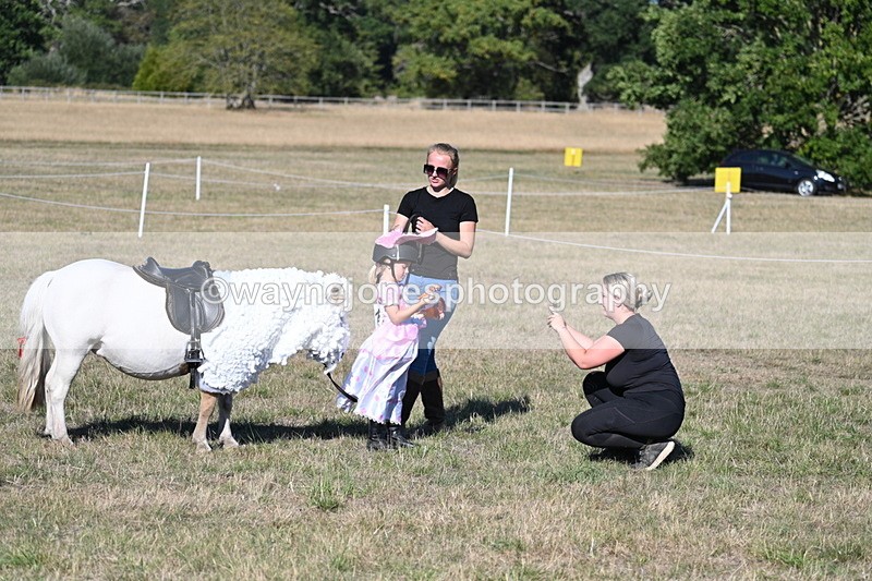 WJ7_2931 - Class 45 Fancy Dress (My Fav)