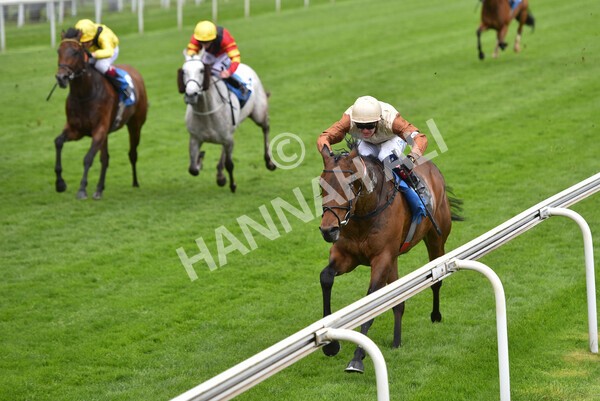 yr22052021r1-31 - Race 1 2.05pm William Hill Pick Your Places Stakes