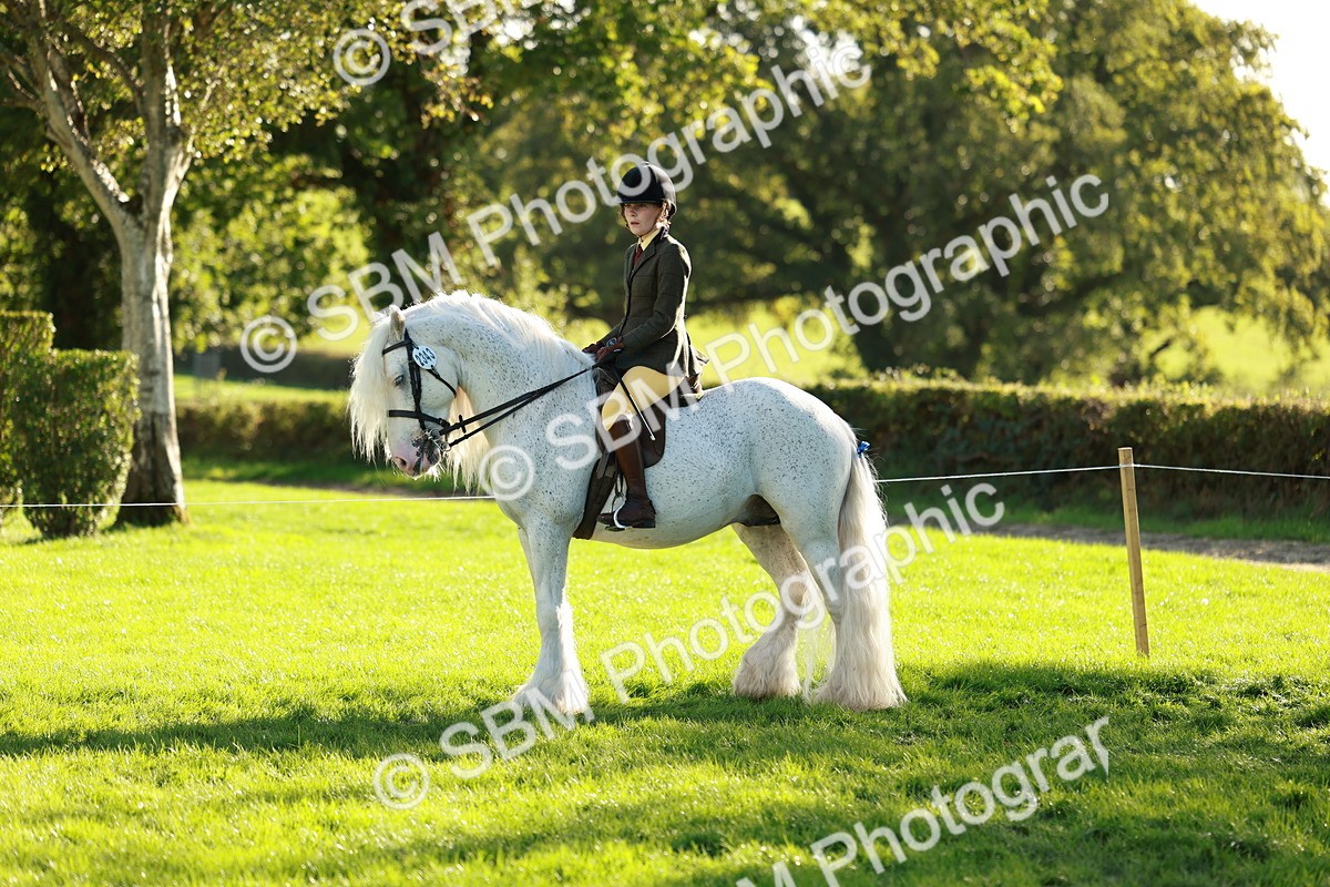 SBM_28737 - S7 - Novice & Newcomer Ridden Pony