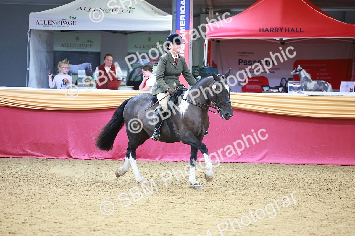 SBM_06151 - Class 12R - Ridden Pre-Vet