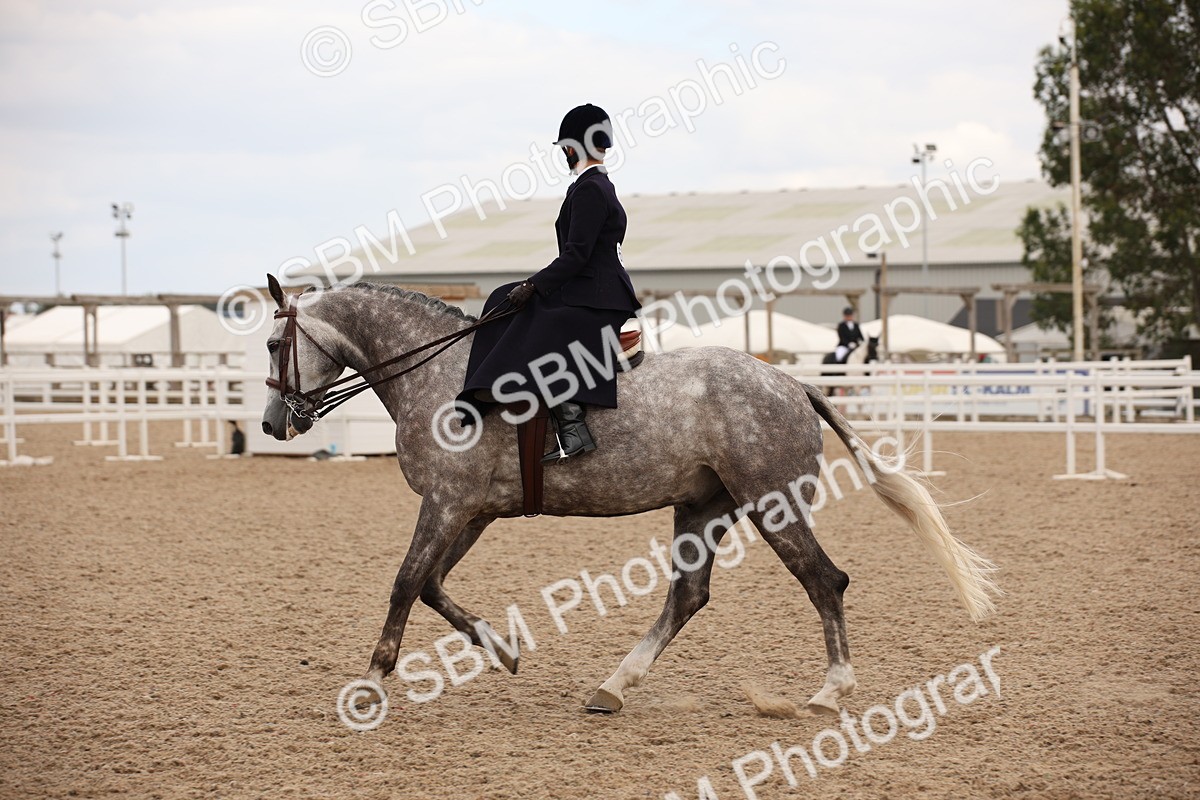 SBM_05493 - Class 22 SSA Equitation