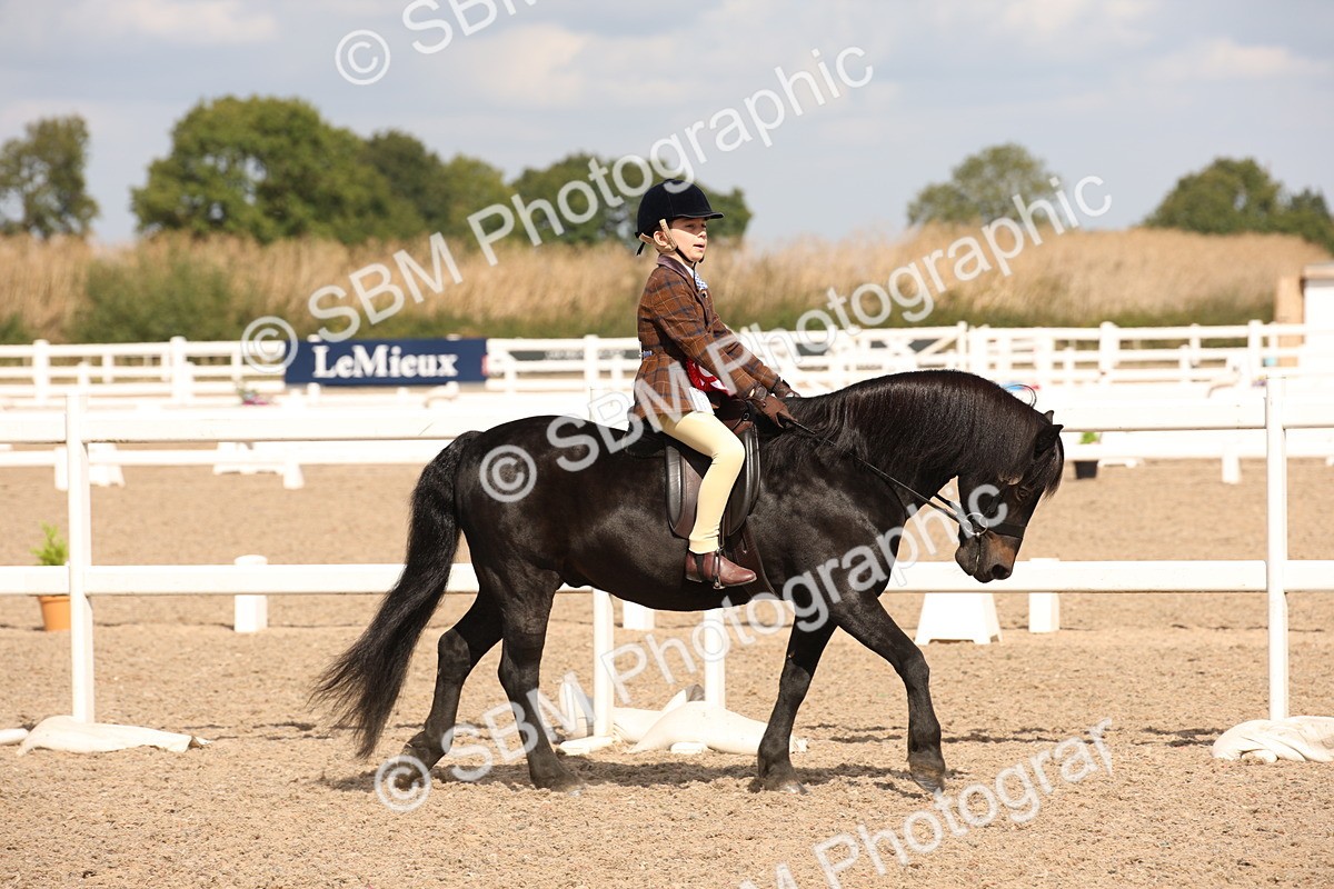 SBM_03801 - Class 19 Judge's Favourite