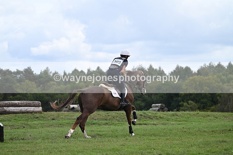 WJ7_1599 - Time 12:34 to 13:16