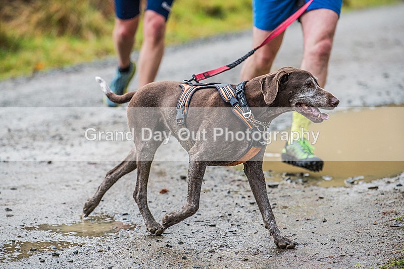 Glentress 21  10K-374 - High Terrain Events Glentress 21 & 10K Trail Races Saturday 18th November 2023