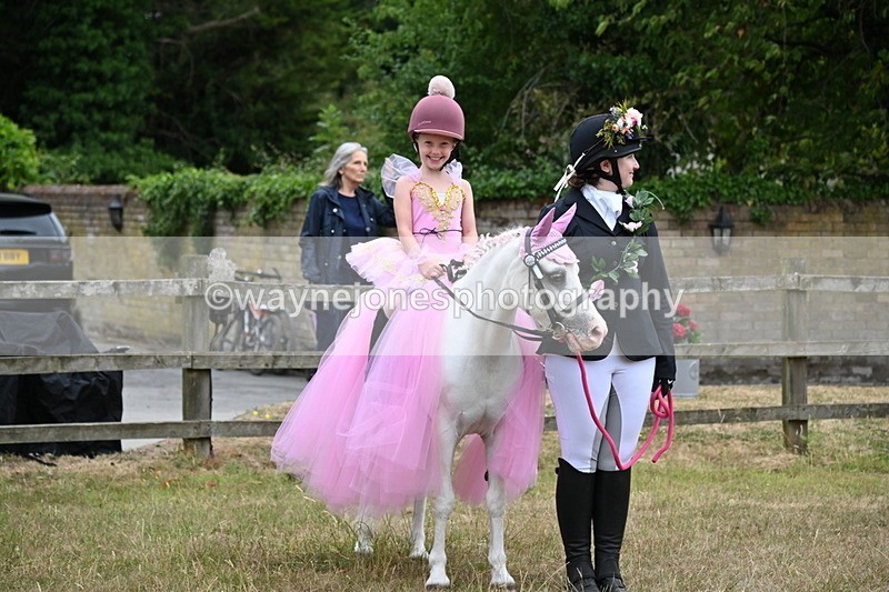 WJ6_9175 - Class 11 Fancy Dress