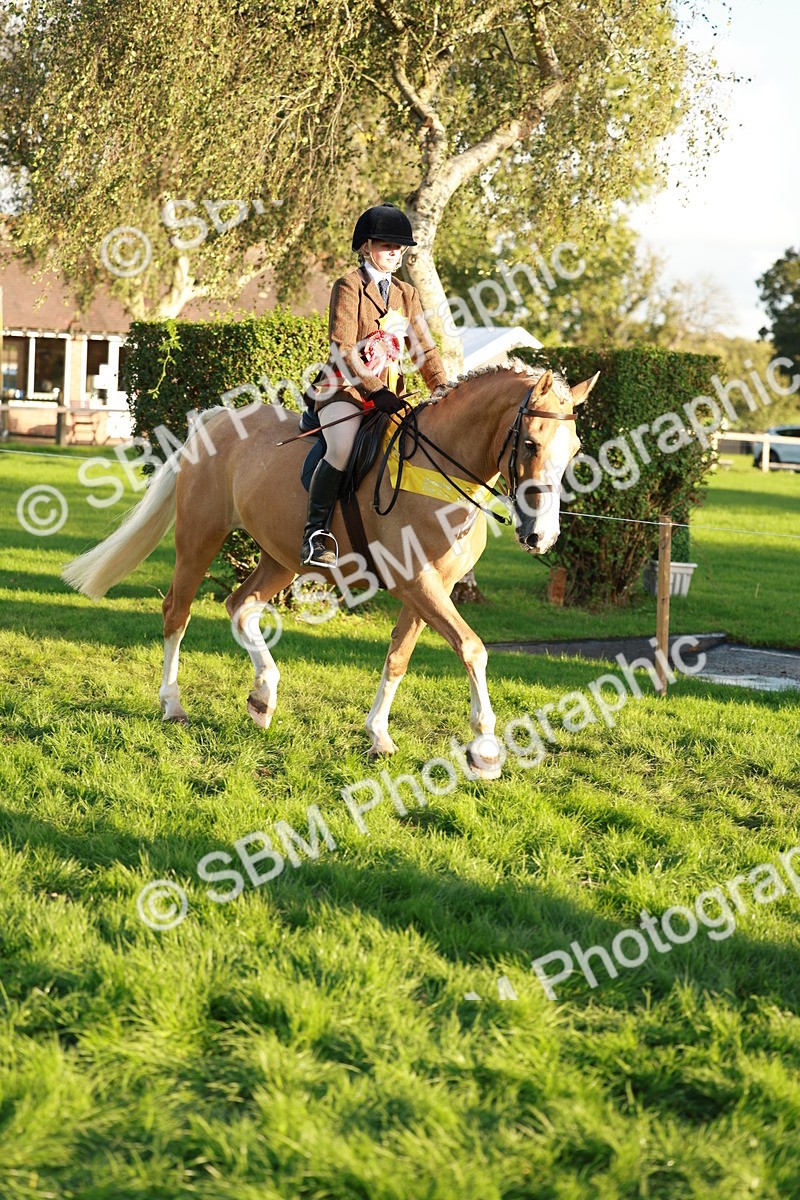 SBM_29348 - Novice & newcomer Supreme Championship