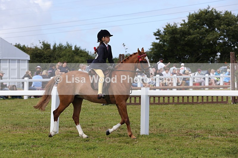 1X9A3884 - Class 31: Show Pony 148cm and under