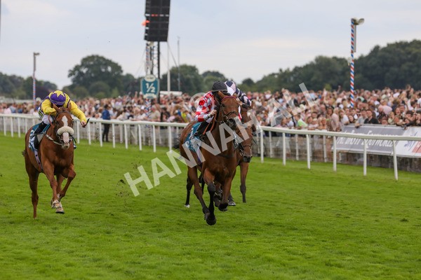 270724-Race 6-Ziggy-4797 - Race 6 5.10pm Sky Bet, For The Fans Handicap