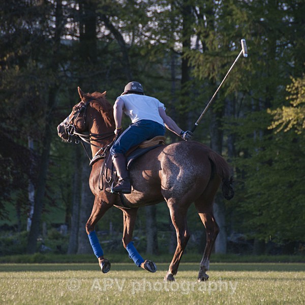 _DSC8270 - POLO Training