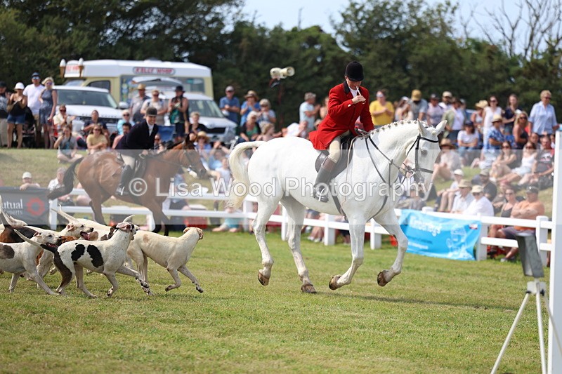 3E7A0151 - Parade of Hounds