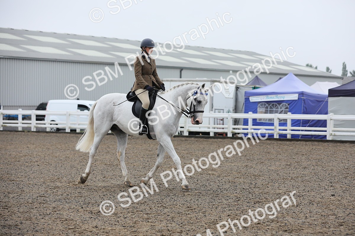 SBM_20031 - Class 802 - Ridden Groom - Helpers class