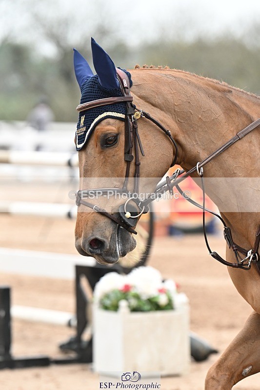 250424-134919-04721 - Cls 5 - 2 Star Medium Tour