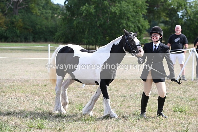WJ6_6627 - Class 20 In-hand Cob