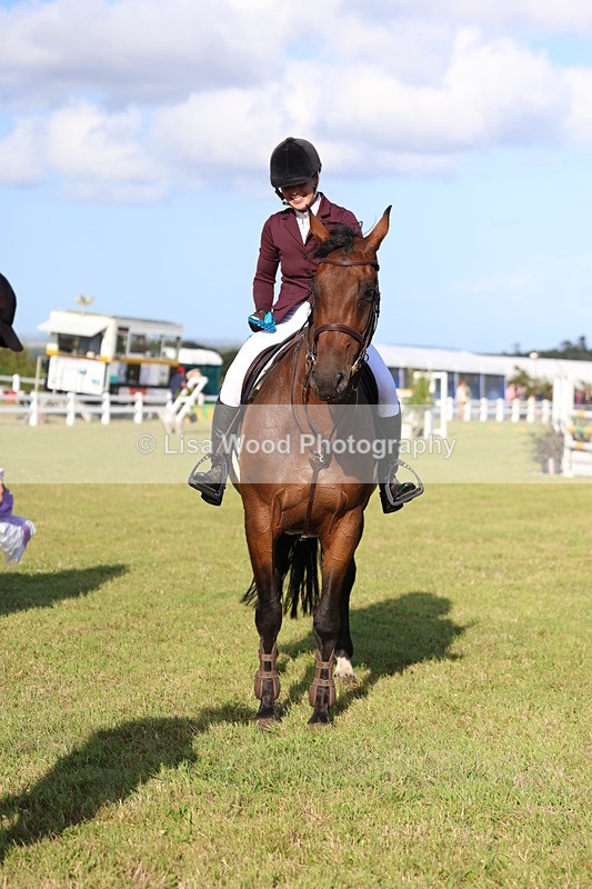 3E7A4548 - Class C: Showjumping Senior Foxhunter