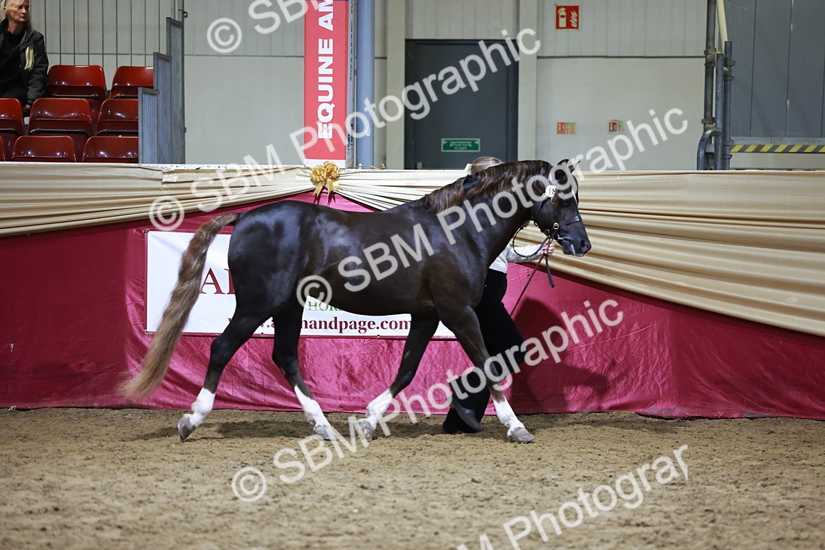 SBM_21506 - Class V - Champion of Champions