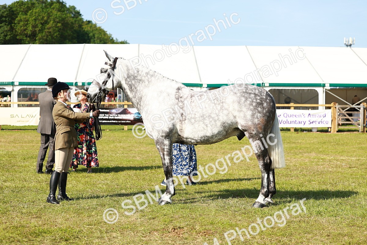 SBM_11807 - Class 66-69 - RIHS Ridden Hunters Inc Small Hunter
