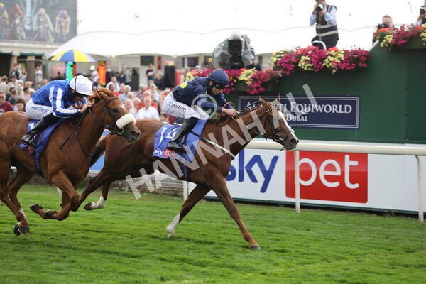 yr18082022r1-22 - Race 1 1.50pm Sky Bet Lowther Stakes