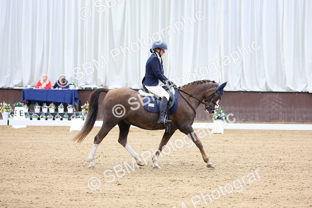 SBM_015735 - Class 15 - Novice FSM - 9.50 - 11.10