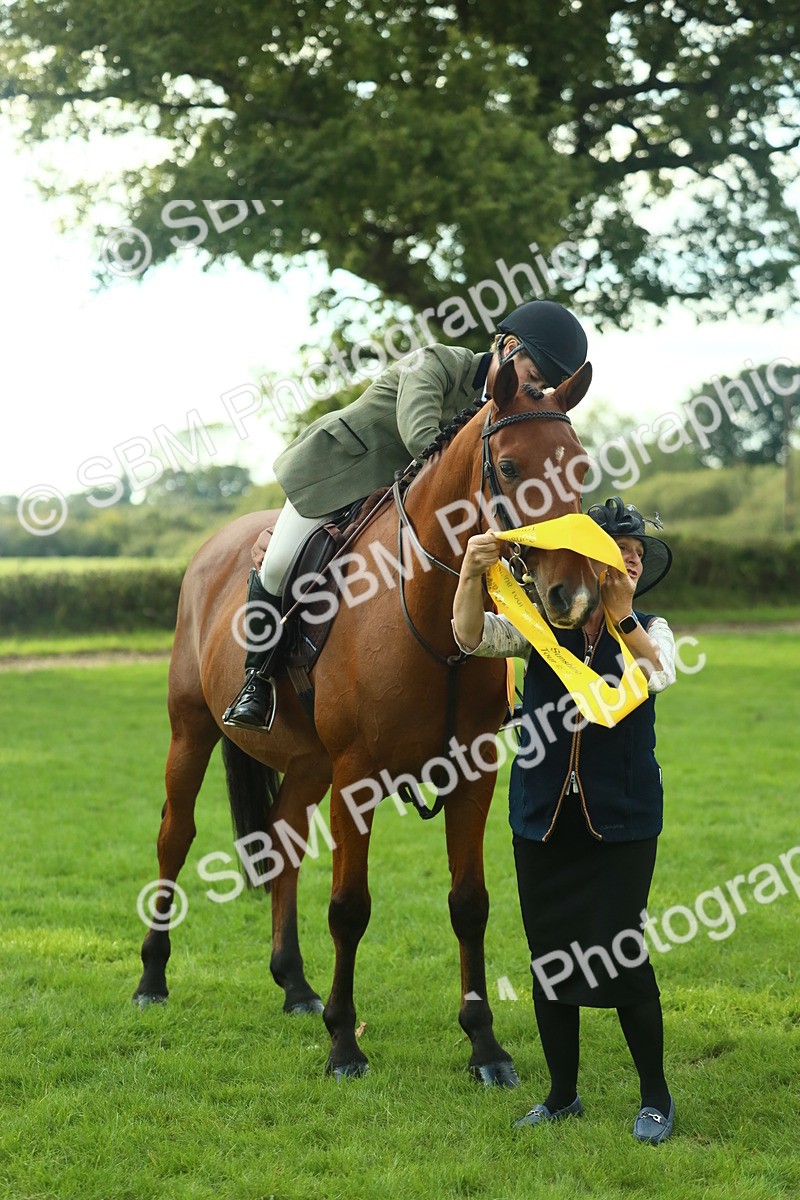 SBM_52204 - S33 - Working Hunter & Working Show Horse