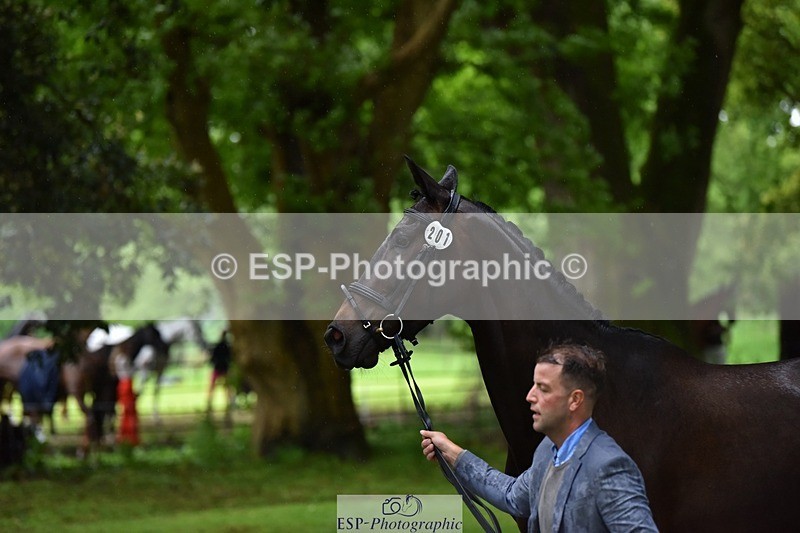 240522-162100-00851 - 201-PRIMITIVE_FUNTIME-Roberto_Scalisi