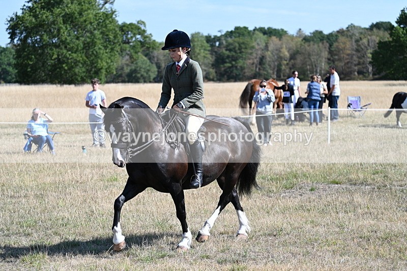 WJ7_3691 - Class 9 Mountain & Moorland Ridden