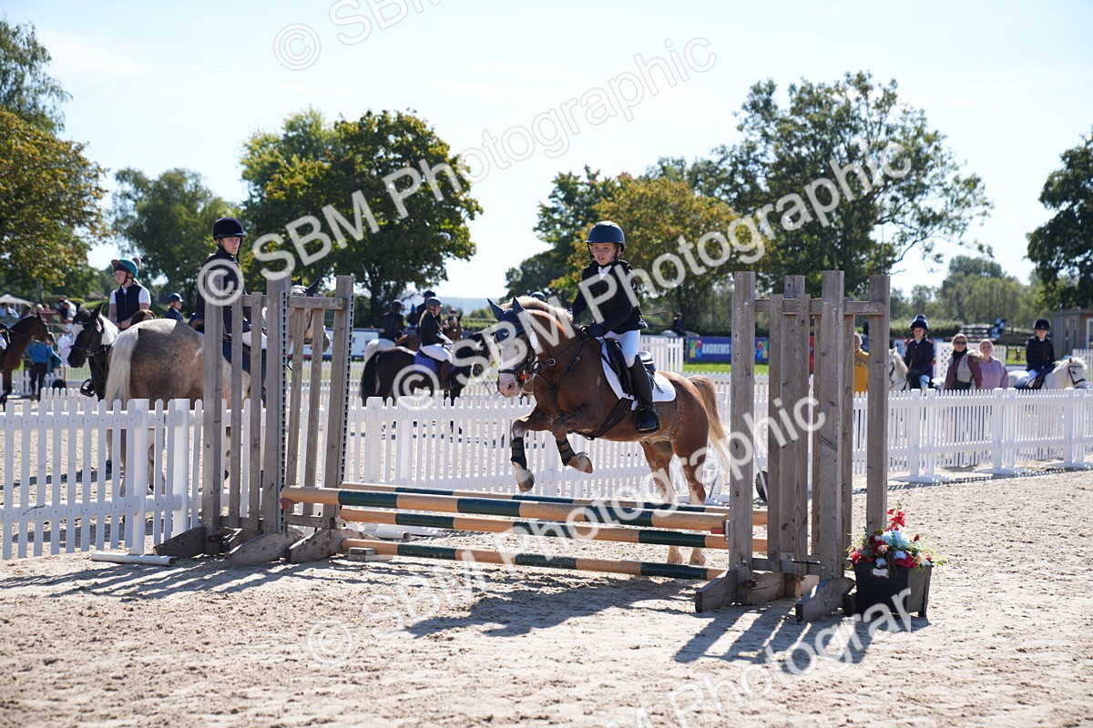 SBM_19436 - J57 - Clear Round 50cm