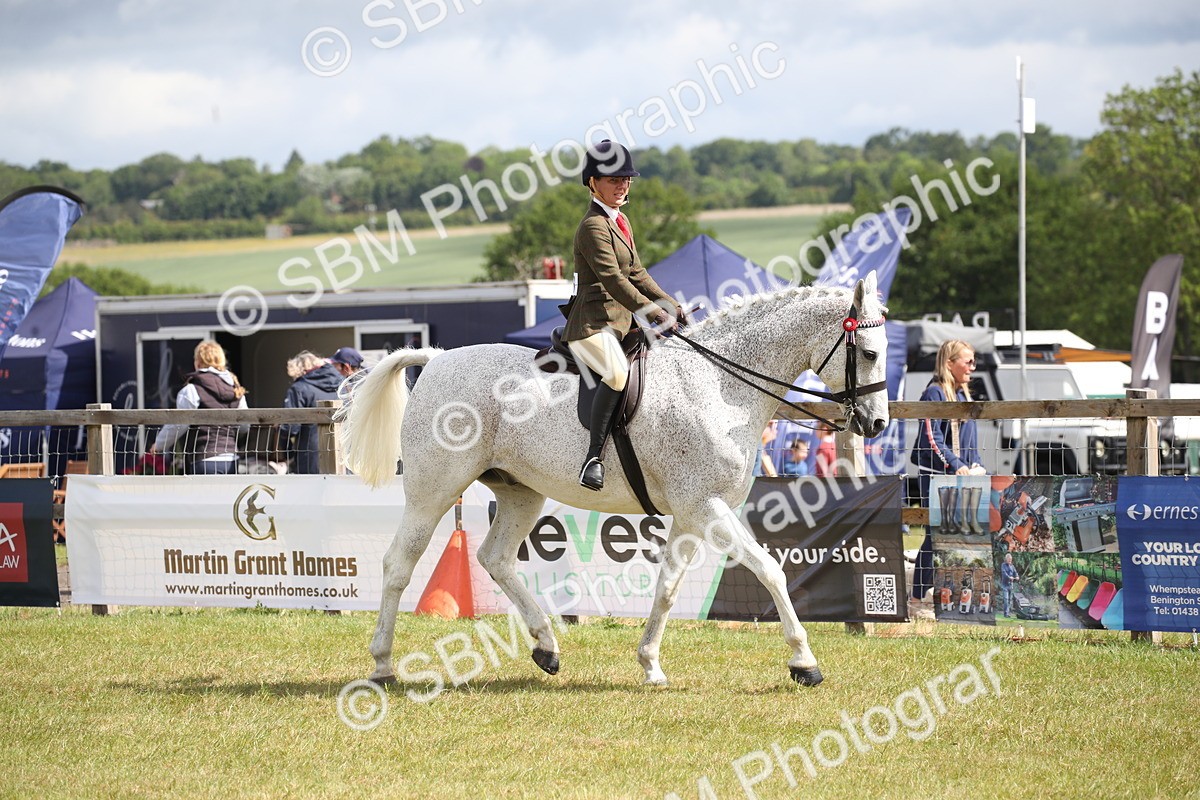 SBM_13191 - Class 95-96 - LIHS BSHA Rising Star Hack Riding Horse