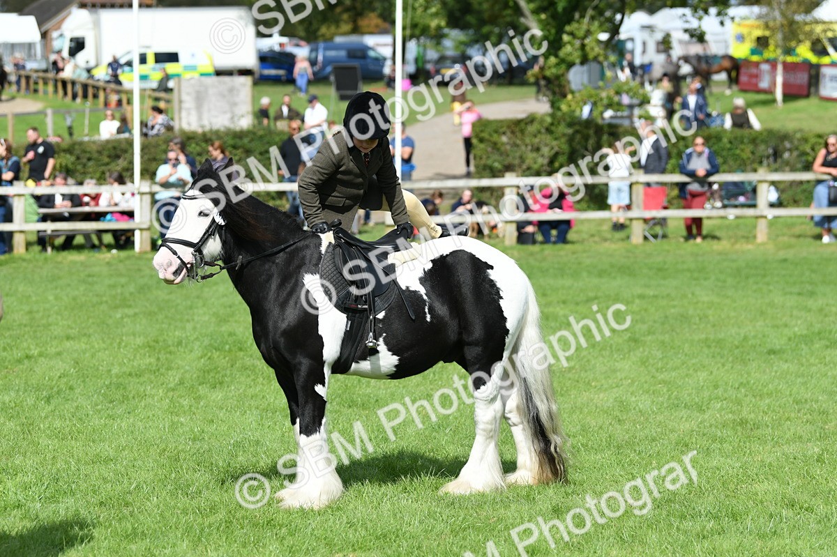 SBM_46981 - S12 - Family Horse & Pony