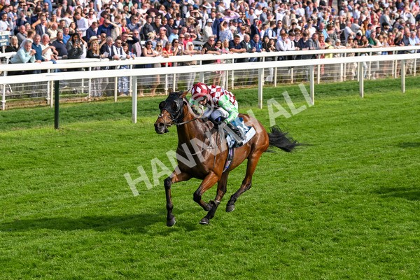 170524-Race 6-Riot-8521 - Race 6 4.45pm Yorkshire Equine Practice Handicap