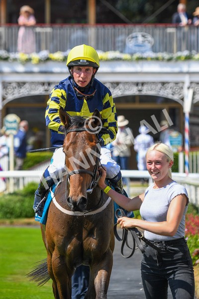 160623-Race 2-Celestial Flight-0334 - Race 2 2.25pm SKF Rous Selling Stakes