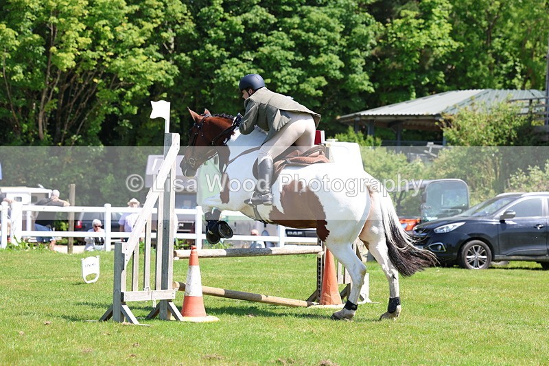 3E7A6885 - Class 30: Novice Working Hunter