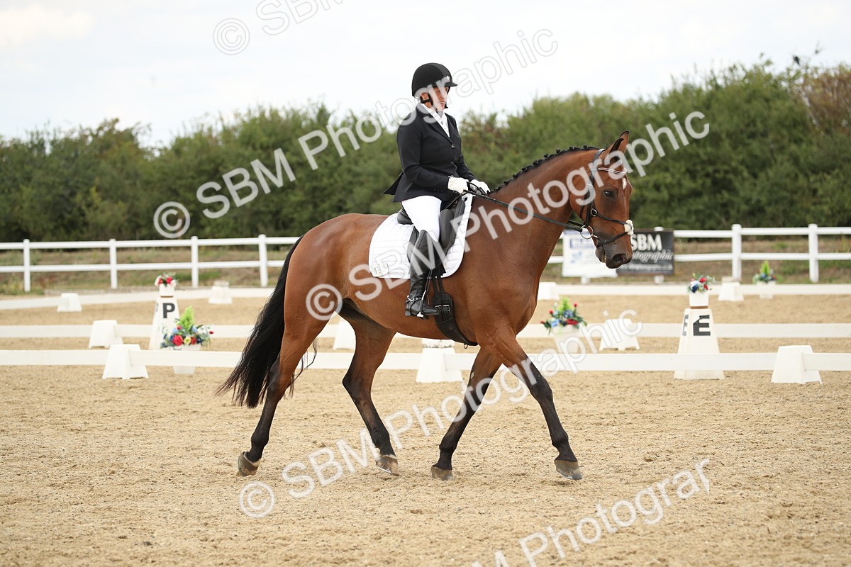 SBM_002197