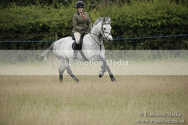 B230619-0122 - Bourne Valley Riding Club Summer Show 23/06/19
