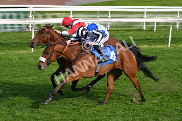 yr13052021r7-25 - Race 7 4.50pm Autohorn Stakes