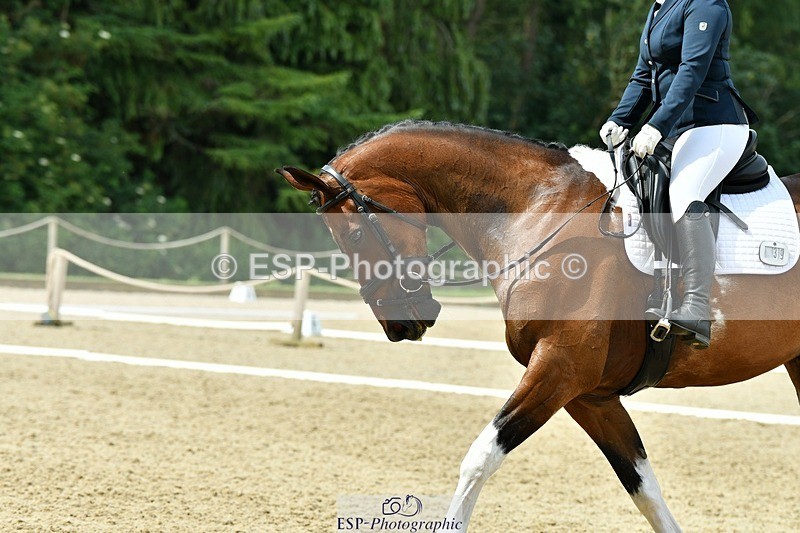 230623-111725-00413 - Cls 3 Novice 23 Start to 11.55 break