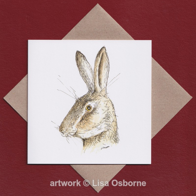 Surprised Hare greetings card - Cards